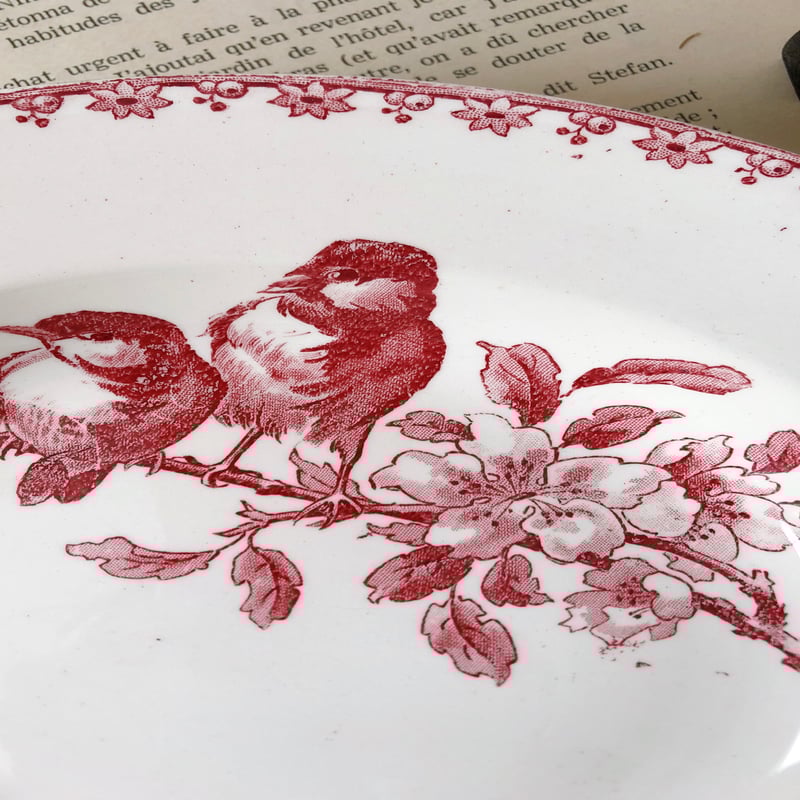 美品　フランス　アンティーク　サルグミンヌ　favori 平皿プレート　赤 美品 フランス アンティーク サルグミンヌ favori 平皿プレート