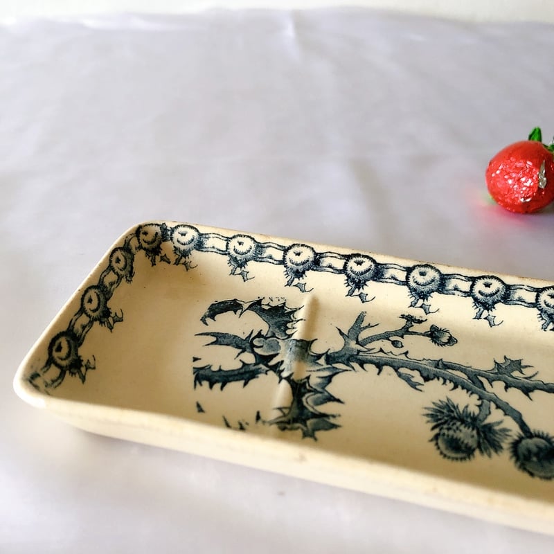 ジアン CACTUS サボテン トゥースディッシュ ブルー フランス