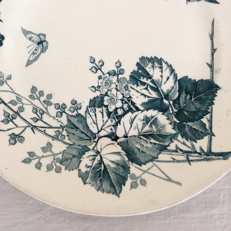 フランスアンティーク K＆G Luneville リュネヴィル 『RONCE』木苺&鳥