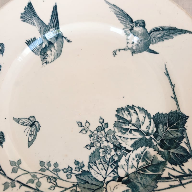 フランスアンティーク K＆G Luneville リュネヴィル 『RONCE／ロンス