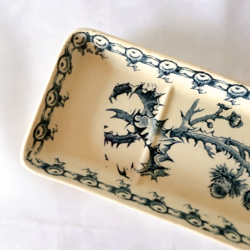 ジアン CACTUS サボテン トゥースディッシュ ブルー フランス