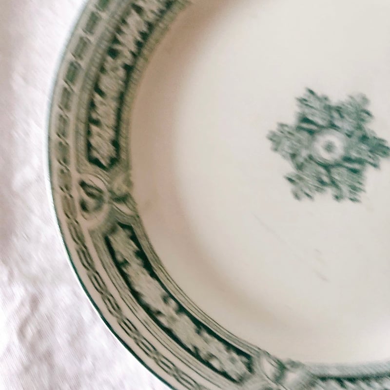 ヴィエイヤールボルドー ルアン ディナープレート グリーン F