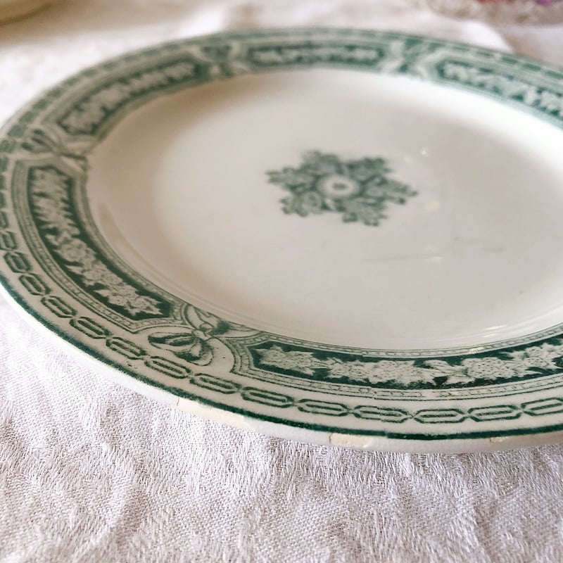 ヴィエイヤールボルドー ルアン ディナープレート グリーン F
