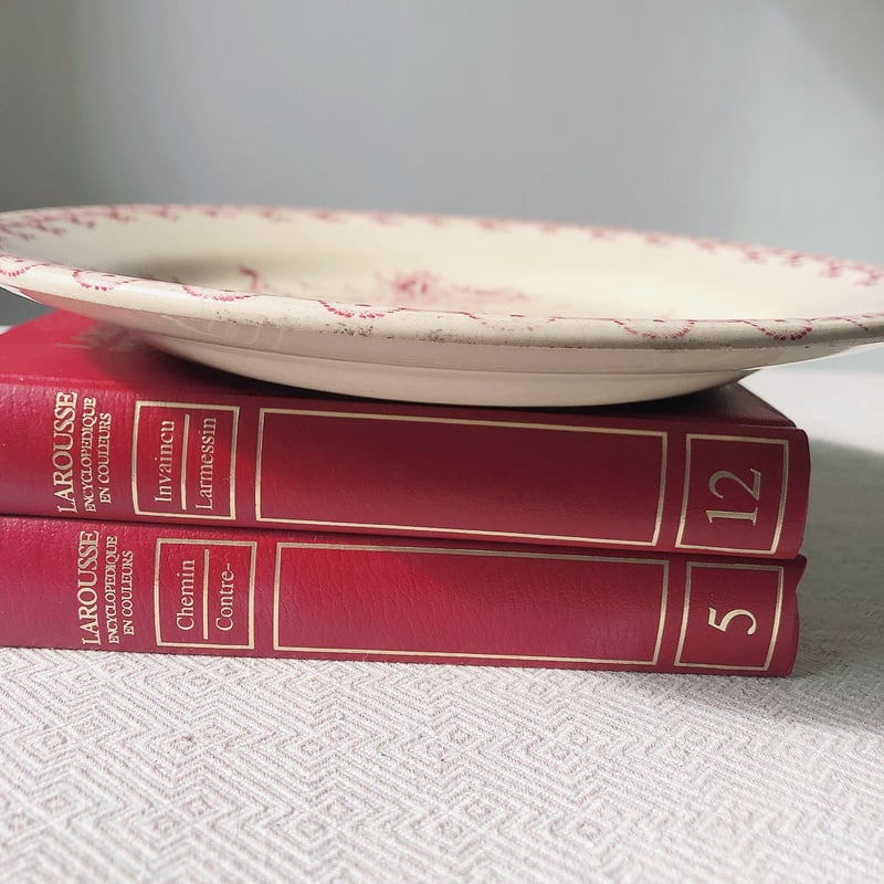 希少 GIEN ジアン あざみ柄ディナープレート フランス