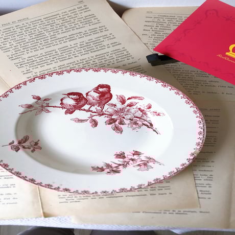 ucサルグミンヌ | STORES