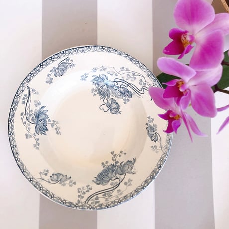 ucサルグミンヌ | STORES