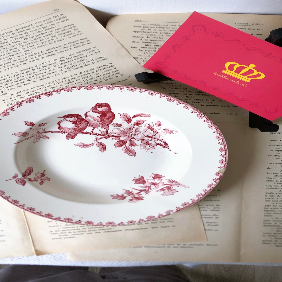 フランスアンティーク サルグミンヌ ファボリ『FAVORI』スーププレート