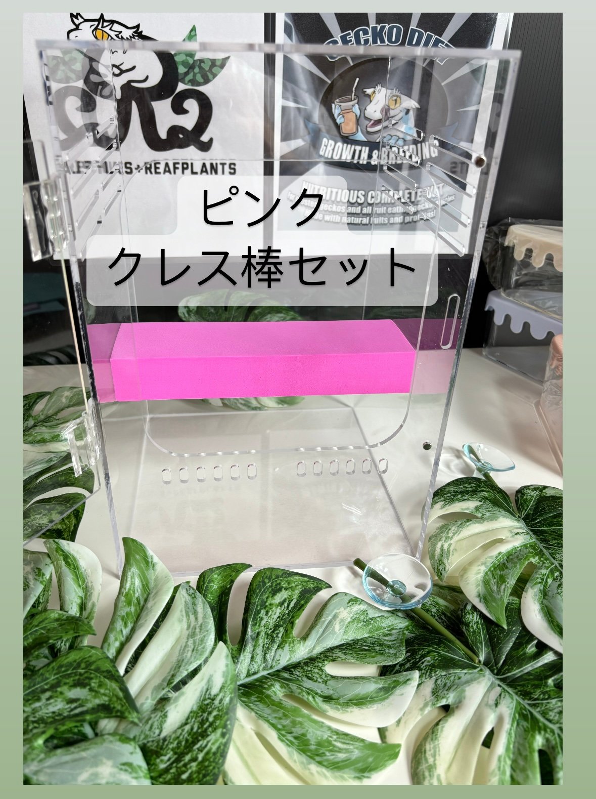 ?GROOM? | R2 REPTILES+REAFPLANTS