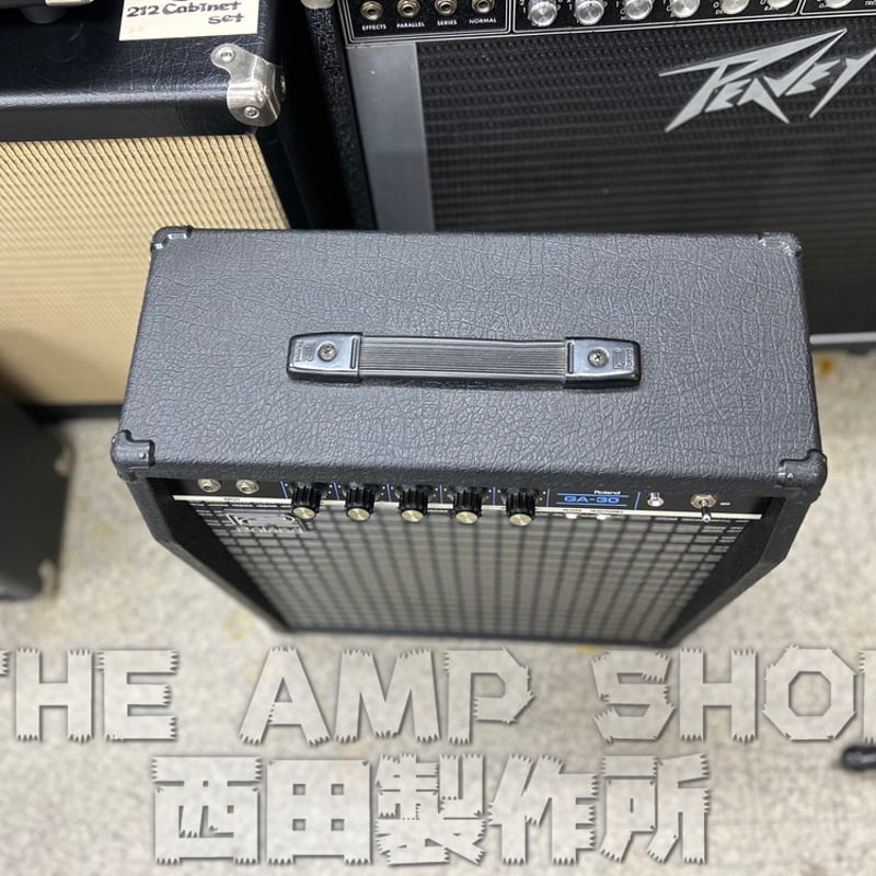 ROLAND GA-30【Vintage】 | THE AMP SHOP西田製作所
