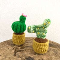 タイ サボテンのあみぐるみ