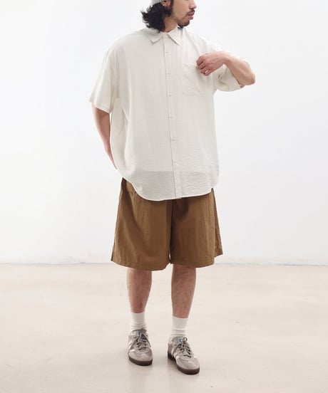 Casual Stripe Regular Collar Shirt / 2color