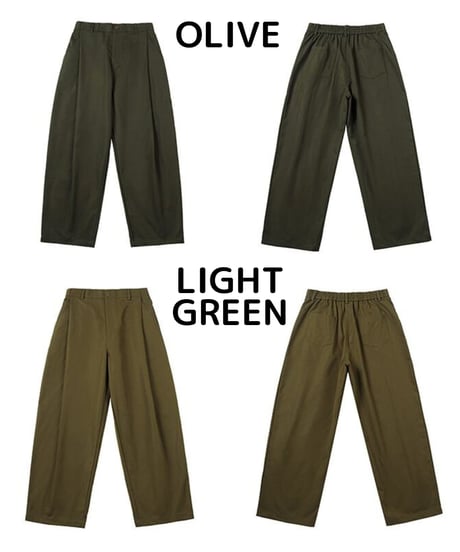 Pleated Straight Clear Wide Pants / 2color