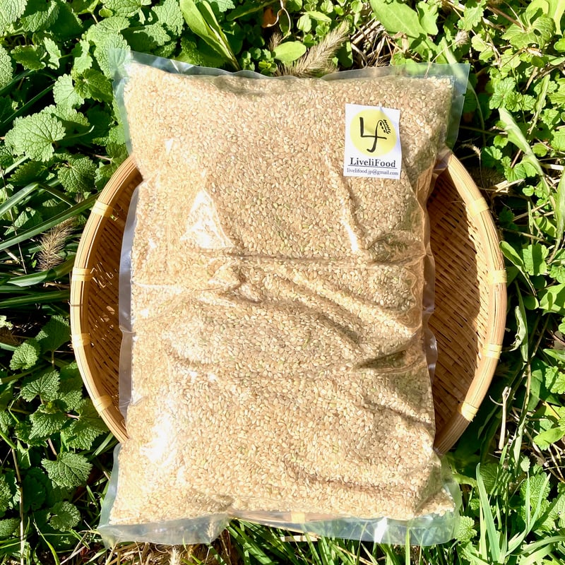 ひ*り様 須原農園の輝ける星。出したく無いなコシヒカリ特Sランク最上級白米10キ ひ*り様 須原農園の輝ける星。出したく無いなコシヒカリ特S