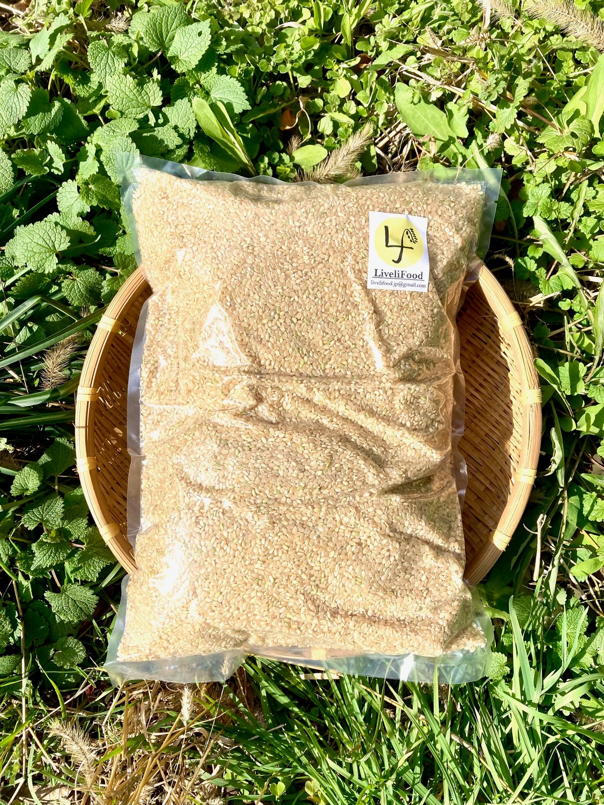 亀の尾 玄米 5kg(R5年産) | LiveliFood(ライブリフード) 亀の尾 玄米 5kg(R5年産) | LiveliFood(ライブリフード)