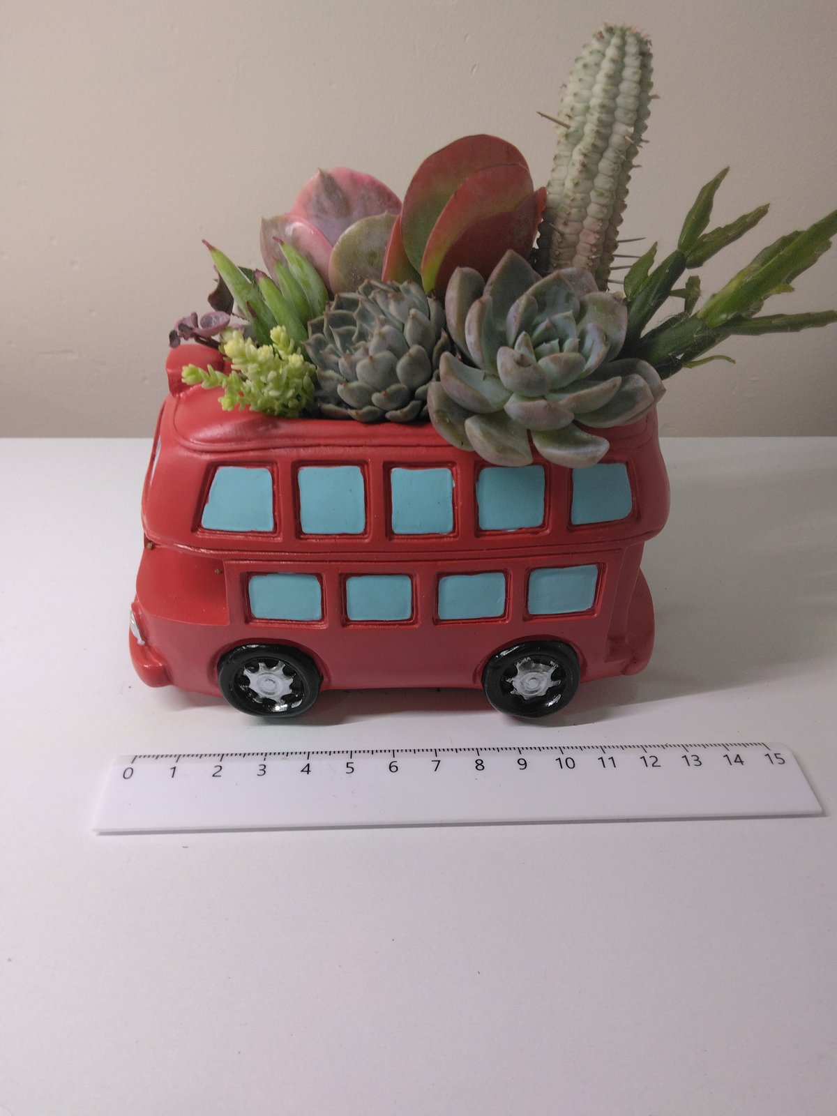 多肉植物 寄せ植え ロンドンバス | succulent shop haruplants