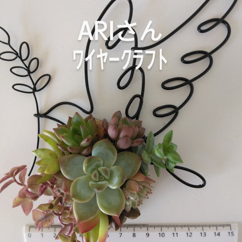 ワイヤークラフト 鳩 | succulent shop haruplants