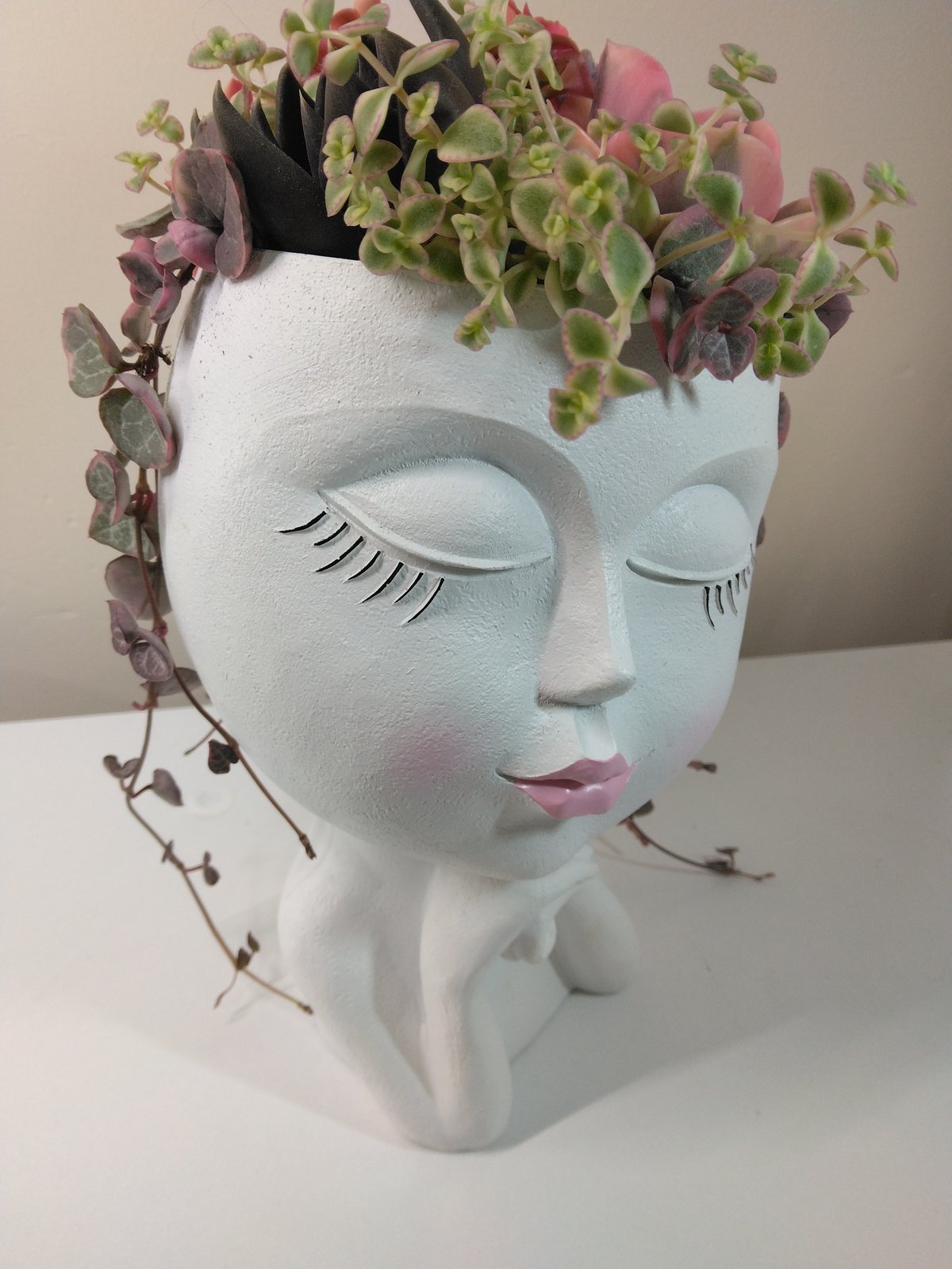 多肉植物 寄せ植え フェイスプランターD | succulent shop harupla
