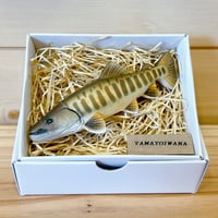 ◎ イトウクラフト ◇SP / MT CTM ◇color ・SBP | Angler
