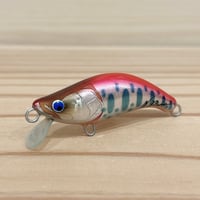 ◎JUN.CRAFT ⚫︎50HS CYM | Angler's Shop Palette