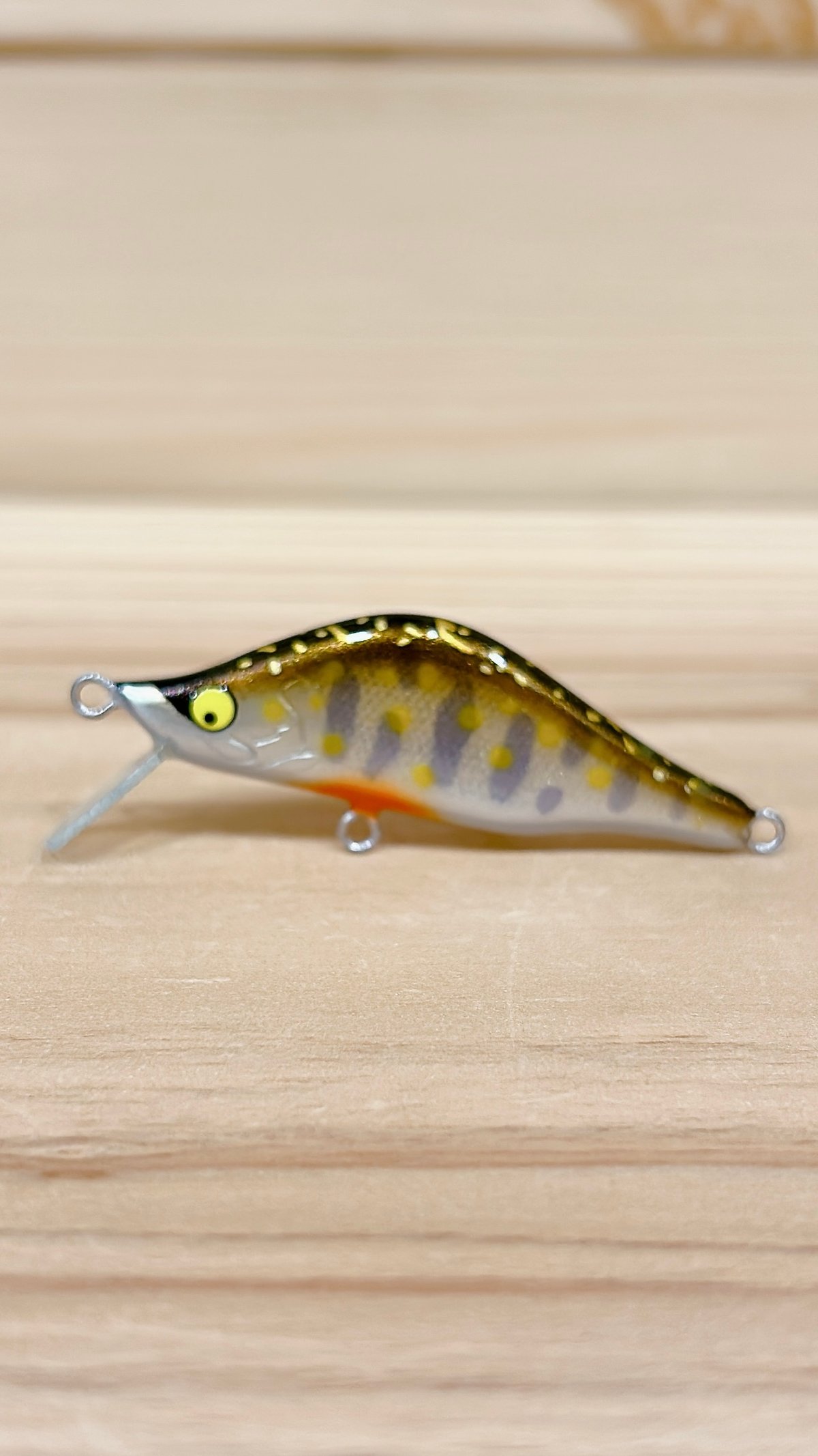 Handmade Lure Studio MORPHO 【 Cypris 48S