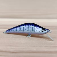 ◎JUN.CRAFT ⚫︎50HS CYM | Angler's Shop Palette