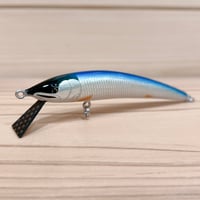 ◎JUN.CRAFT ⚫︎50HS CYM | Angler's Shop Palette