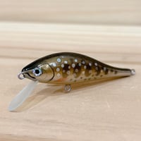 ◎JUN.CRAFT ⚫︎50HS CYM | Angler's Shop Palette