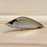 ◎JUN.CRAFT ⚫︎50HS CYM | Angler's Shop Palette