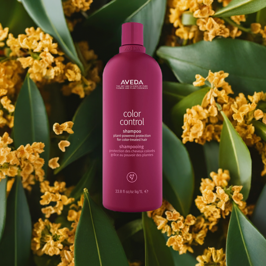 AVEDA カラーコントロール　シャンプー カラーコントロール シャンプー | B-dash AVEDA