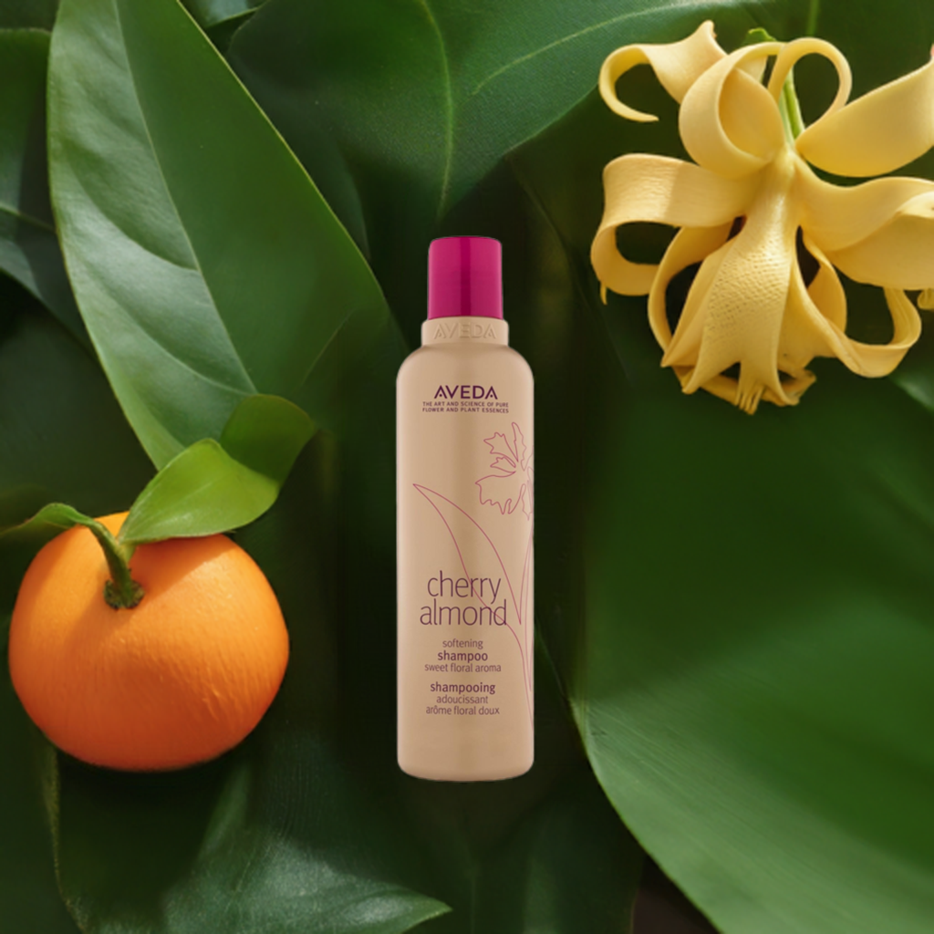 チェリーアーモンド シャンプー | B-dash AVEDA