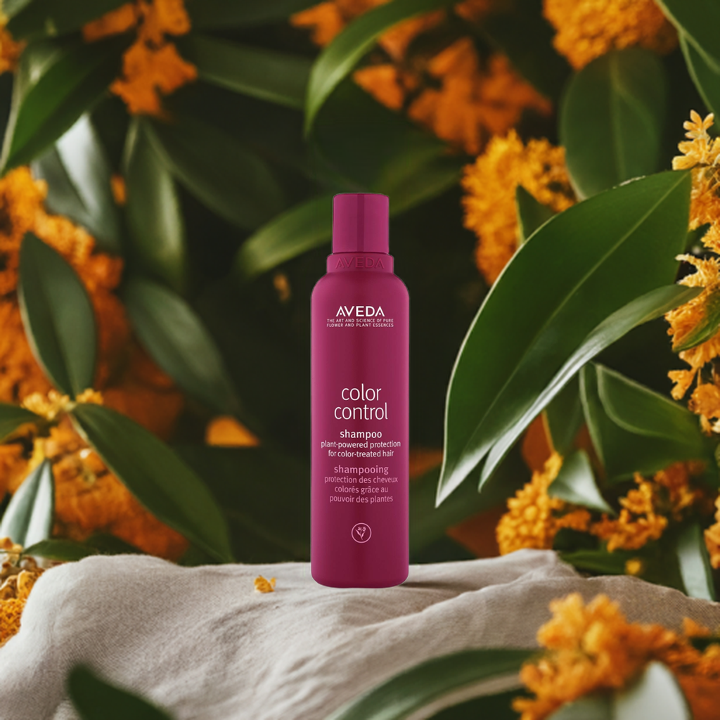 カラーコントロール シャンプー | B-dash AVEDA