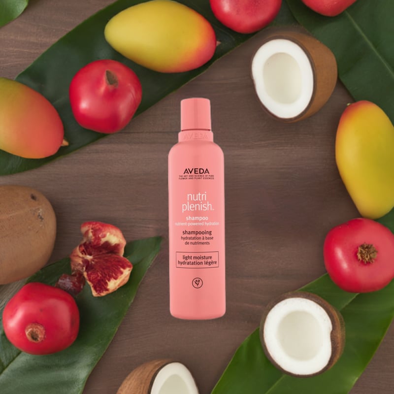 ニュートリプレニッシュ ライト シャンプー | B-dash AVEDA