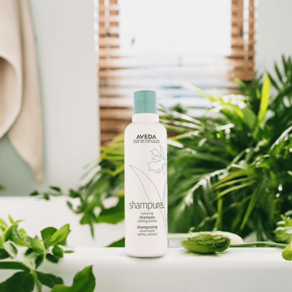 ※単品購入も可能！！！AVEDA シャンプー シャンピュア シャンプー | B-dash AVEDA