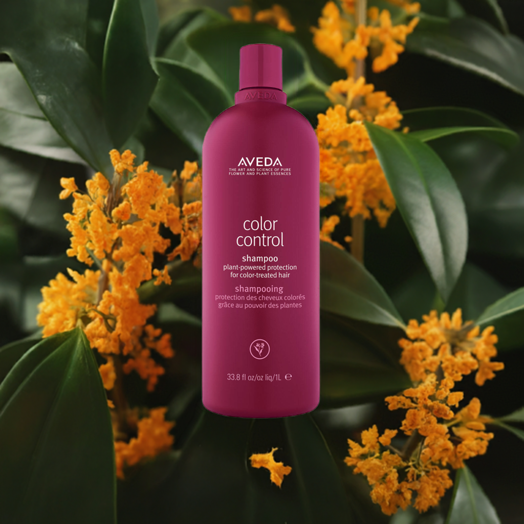 カラーコントロール シャンプー | B-dash AVEDA