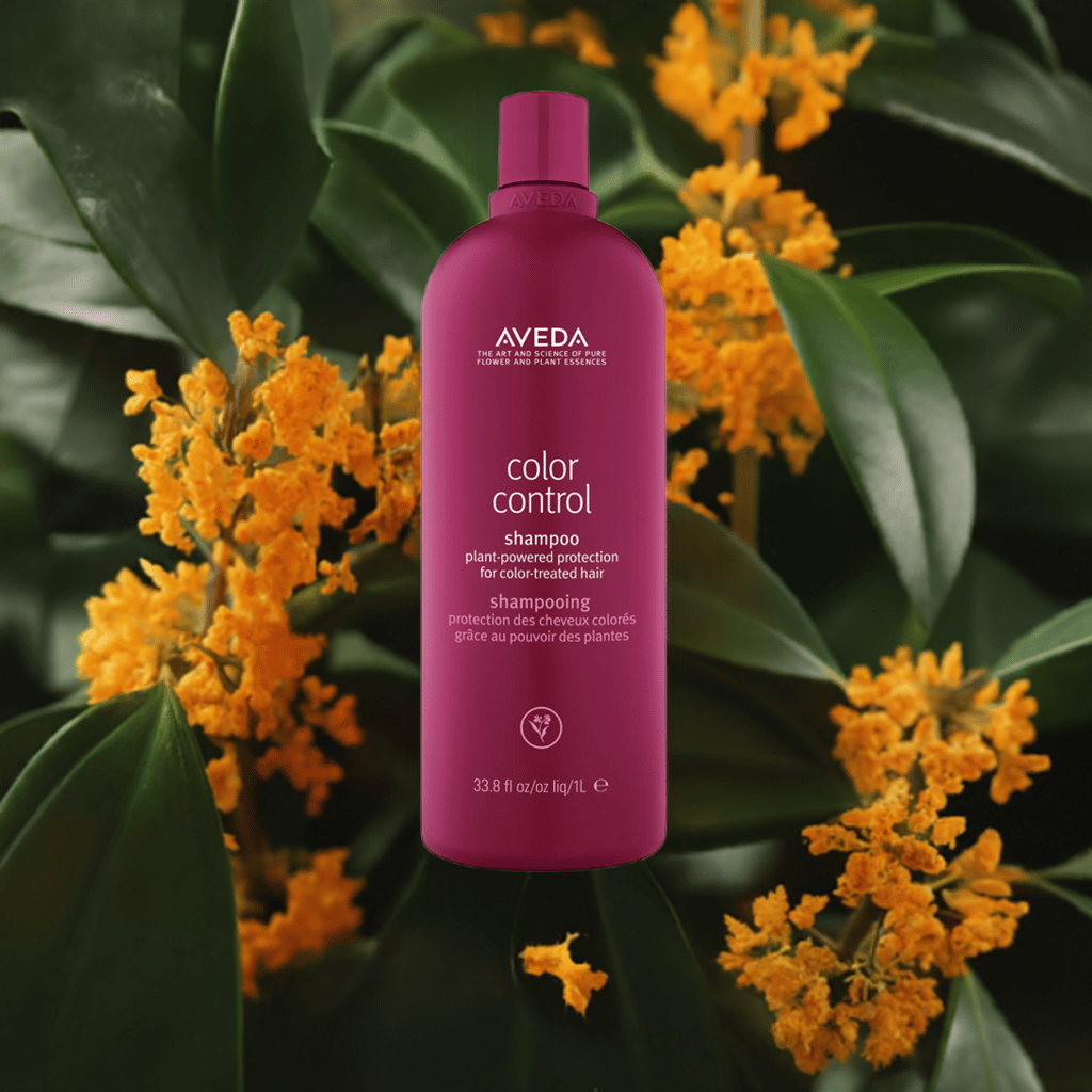 カラーコントロール シャンプー | B-dash AVEDA