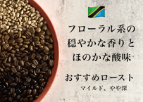 《タンザニア》エーデルワイス