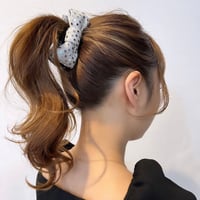 バレッタ☺︎ silver✖︎dot