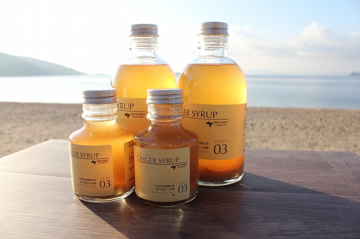 ジンジャーシロップ シトラス 100ml | LINKFAMILY ONLINESHOP