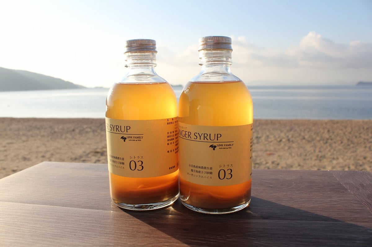 ジンジャーシロップ ジンジャーシロップ シトラス 300ml | LINKFAMILY ONLINESHOP