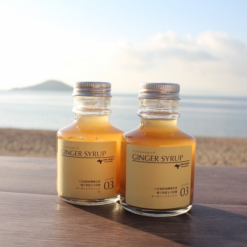 ジンジャーシロップ シトラス 100ml | LINKFAMILY ONLINESHOP
