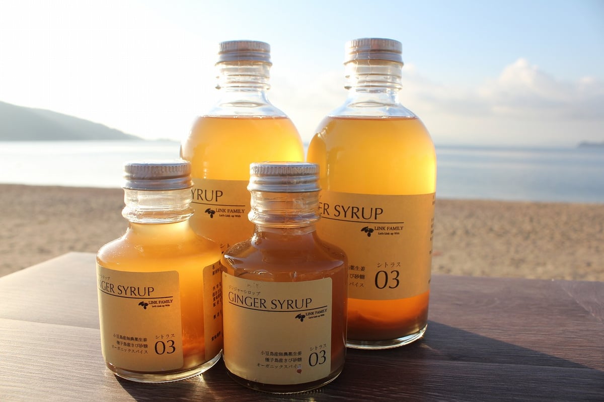 ジンジャーシロップ シトラス 300ml | LINKFAMILY ONLINESHOP