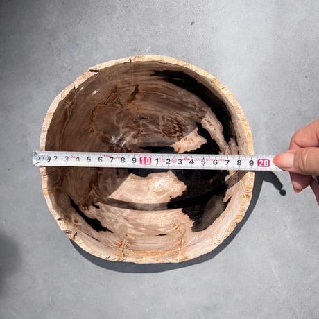 petrifidewood pot