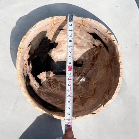 petrifidewood pot