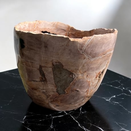 petrifidewood pot