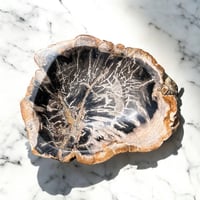 petrified wood bowl