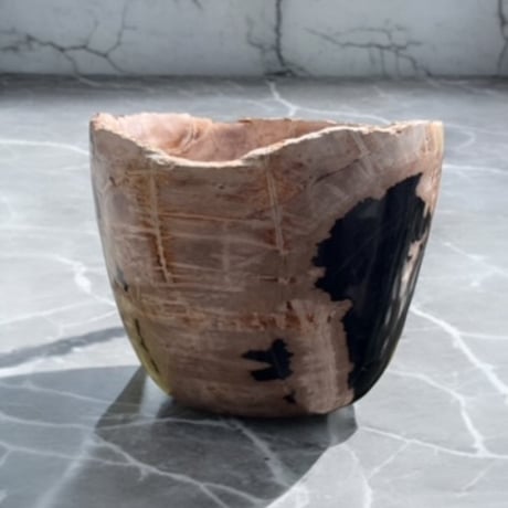 petrifidewood pot
