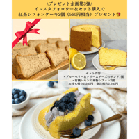 【7/26発送】⭐︎インスタフォローワー限定⭐︎シフォンカット2個プレゼント🎁