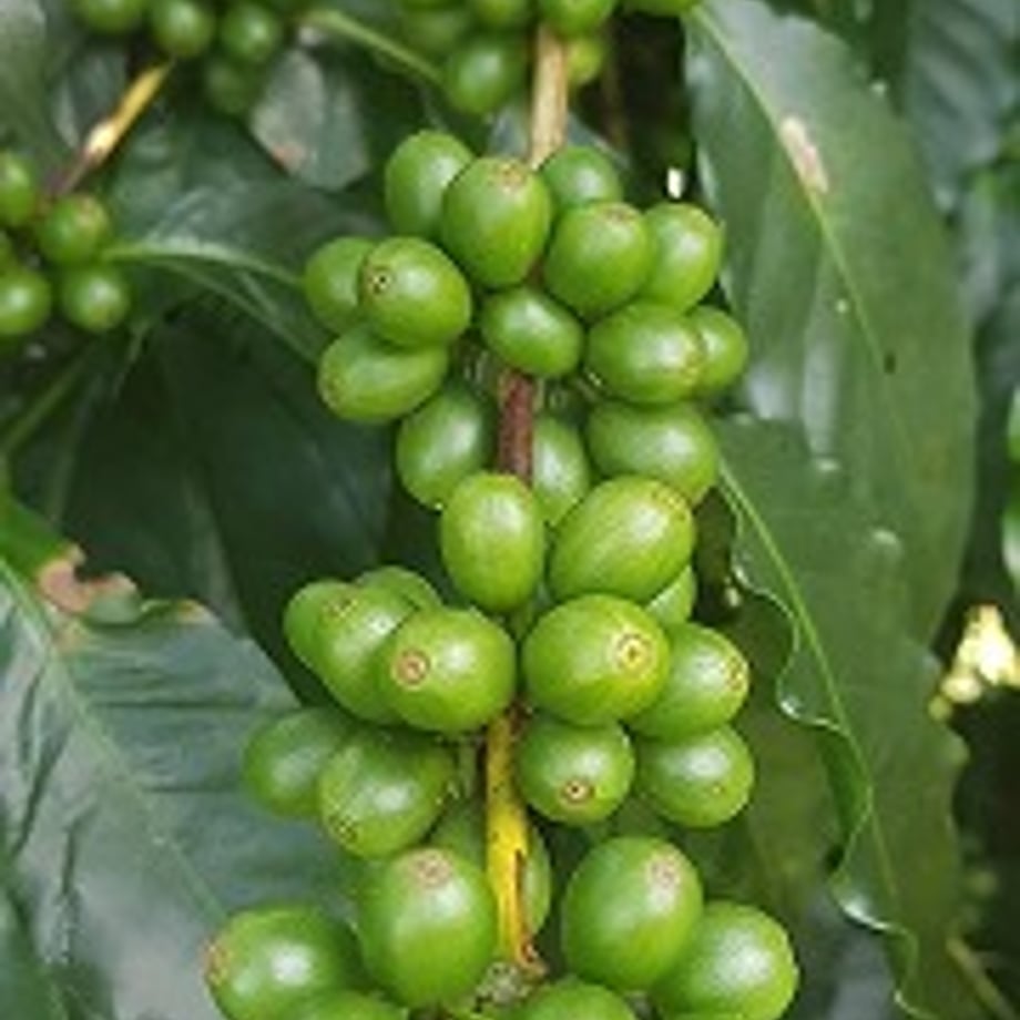65b7afbf162c120da8df2080