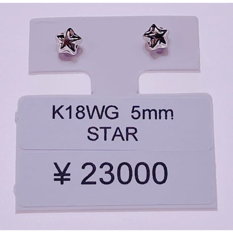 1031 K18WG 5ミリ スターピアス