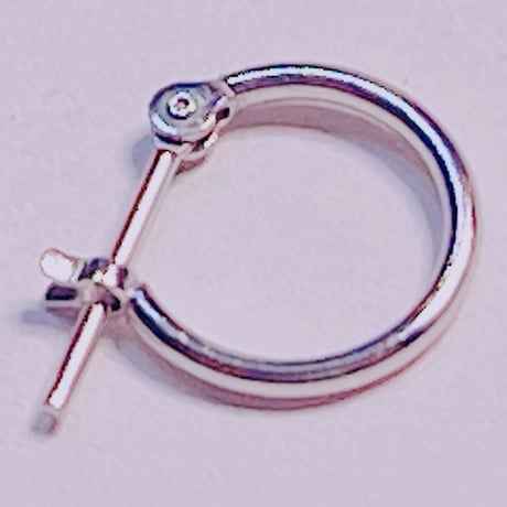 1632 Ptピアス1*10